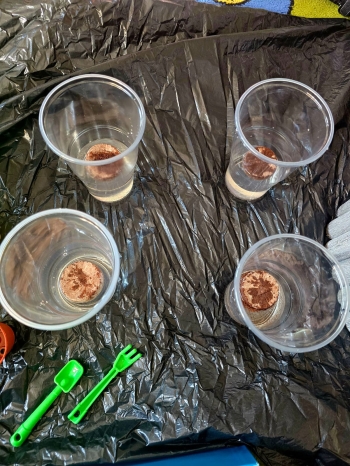 IMG-20250329-WA0055
