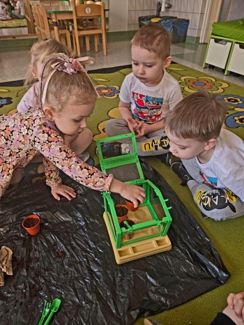 IMG-20250329-WA0046
