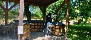 IMG-20250529-WA0028