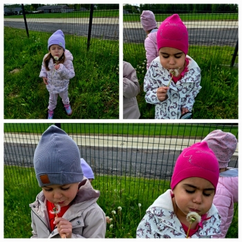 IMG-20250531-WA0013