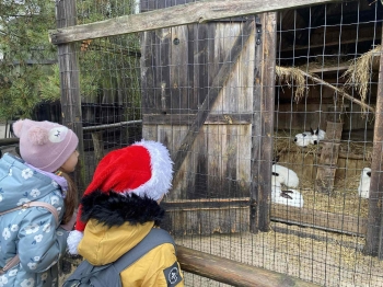 598703074_1253195653286523_7341825974901069400_n