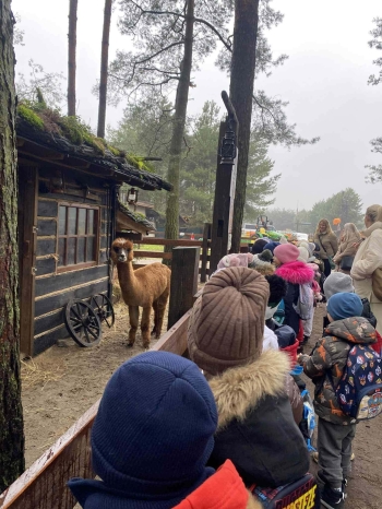 597775056_1253195423286546_4349060829807677163_n