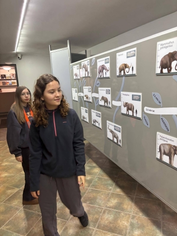 596349482_1250424743563614_3798014073283217455_n