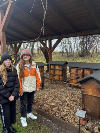 596812228_1250423863563702_5631823398538121637_n