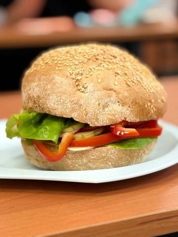 625571822_1287967703142651_6979425358875432675_n