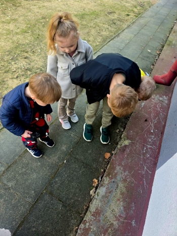 IMG-20260329-WA0001
