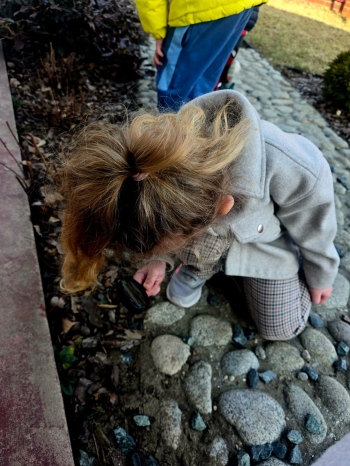 IMG-20260329-WA0000