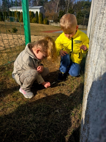 IMG-20260329-WA0003