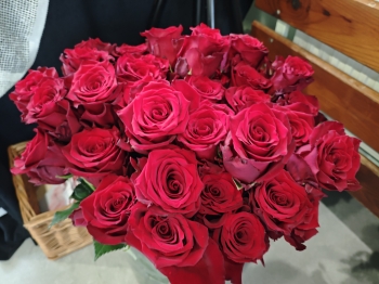 IMG_20261014_085708